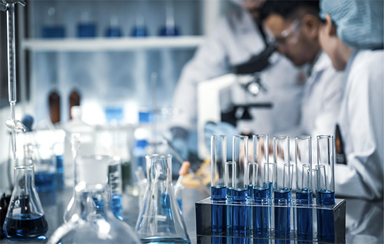 IMG Plan Propio de Investigación y Transferencia